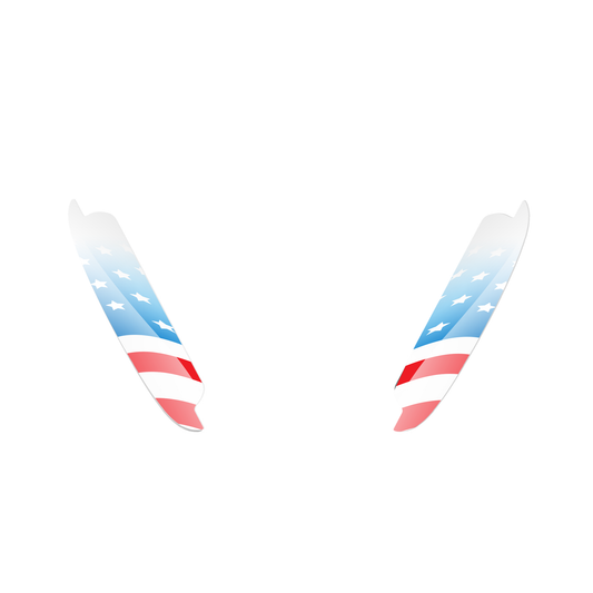 Patriotic AirPod Max Cases - American Flag & Statue of Liberty Design, Gift for Holidays, Unique Accessories for Music Lovers